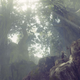 Illustration for article titled Nier Automata: Part 3 - Into the Forest